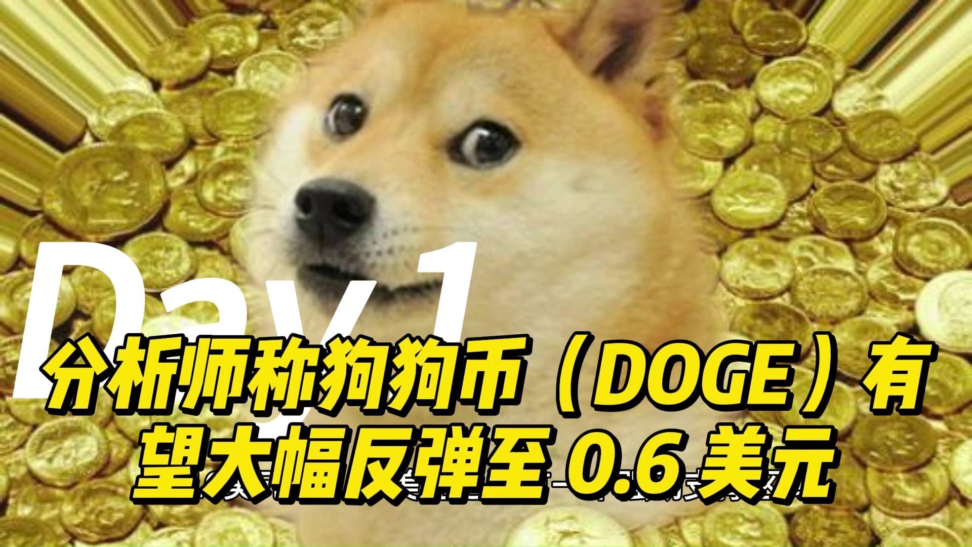 关于专家称狗狗币将在年底冲破25.58美元，引发引发关注的信息-Kaiyun体育注册登录